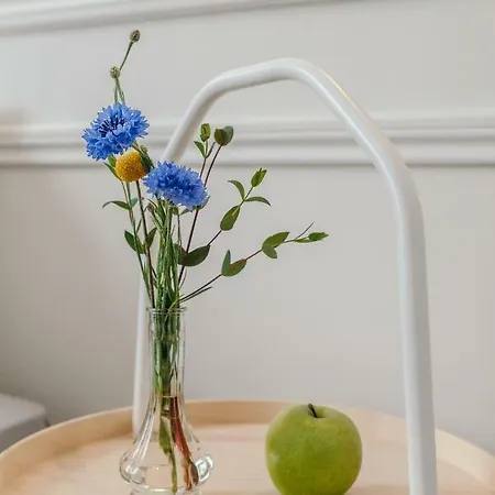 Appartement Tres Bel Appartement, 3 Chambres, 2 Salles De Bains, Hyper-Centre - Wifi Biarritz